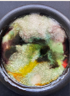 Les Paysages de Verre